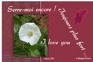 092_magali_frank_fleurange_fetes