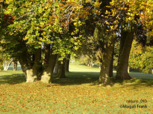 093_magali_frank_fleurange_nature