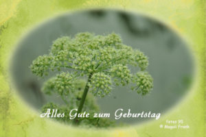 095_magali_frank_fleurange_fetes