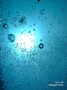 095_magali_frank_fleurange_nature