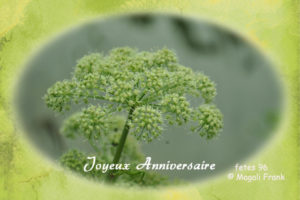 096_magali_frank_fleurange_fetes