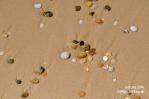 096_magali_frank_fleurange_nature