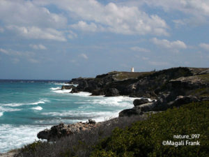 097_magali_frank_fleurange_nature