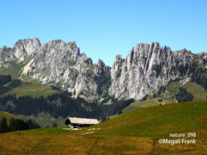 098_magali_frank_fleurange_nature