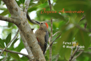 099_magali_frank_fleurange_fetes