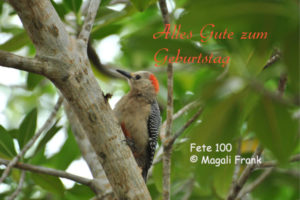 100_magali_frank_fleurange_fetes