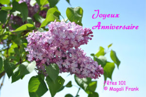 101_magali_frank_fleurange_fetes