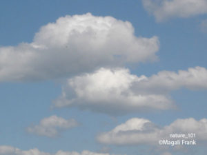 101_magali_frank_fleurange_nature