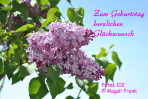 102_magali_frank_fleurange_fetes