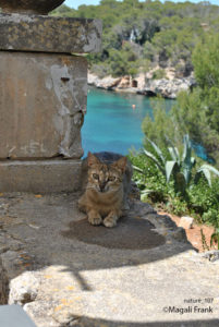 107_magali_frank_fleurange_nature