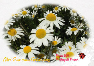 109_magali_frank_fleurange_fetes