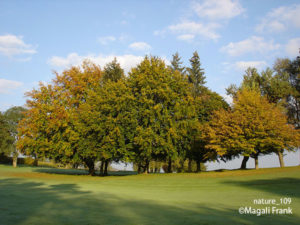 109_magali_frank_fleurange_nature