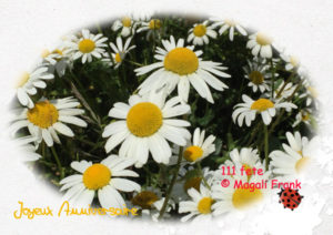 111_magali_frank_fleurange_fetes