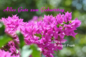 112_magali_frank_fleurange_fetes