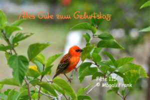 115_magali_frank_fleurange_fetes