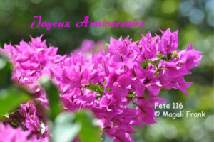 116_magali_frank_fleurange_fetes