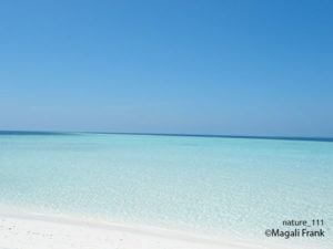 111_magali_frank_fleurange_nature