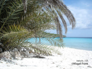 125_magali_frank_fleurange_nature