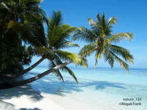 126_magali_frank_fleurange_nature