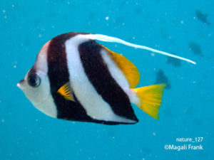 127_magali_frank_fleurange_nature