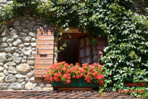 142_magali_frank_fleurange_nature