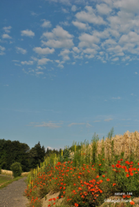 144_magali_frank_fleurange_nature