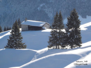 149_magali_frank_fleurange_nature