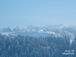 150_magali_frank_fleurange_nature