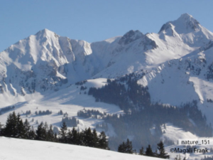 151_magali_frank_fleurange_nature