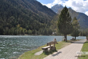 152_magali_frank_fleurange_nature