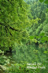 157_magali_frank_fleurange_nature