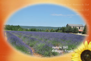 160_magali_frank_fleurange_nature