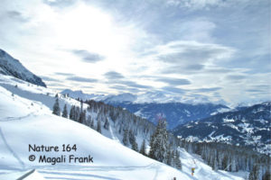 164_magali_frank_fleurange_nature