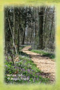 165_magali_frank_fleurange_nature