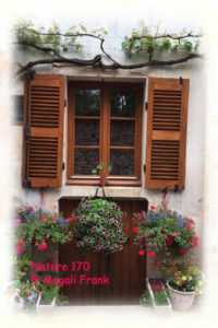 170_magali_frank_fleurange_nature