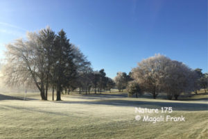 175_magali_frank_fleurange_nature