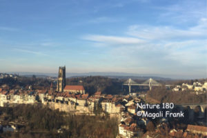 180_magali_frank_fleurange_nature