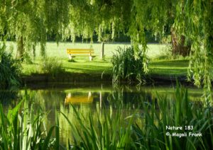 183_nature_Magali_Frank_fleurange_zwanenhof