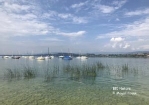 185_Les-voiliers-de-Morat-Copie