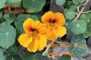 117_Fleurs-Morat-Geburtstag-Copie