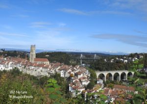 182_Nature_Magali_Frank_Fleurange_Cathédrale et pont Poya