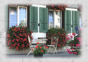 200_Magali_Frank_fleurange_natureTerasse-de-Schmitten_