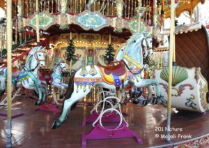 201_magali frank-fleurange_nature_Manège d'Aigue Morte -