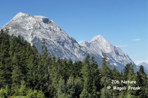 206 Magali Frank Fleurange nature Hohe Munde Autriche